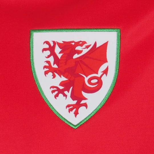 Wales Cymru Football Retro Track Jacket – Official FAW Mens Top