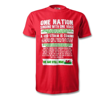 Wales World Cup 2022 Michael Sheen Speech T-Shirt Red