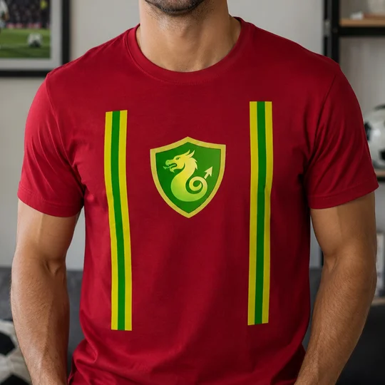 Wales Retro 1970s-Inspired Fan T-Shirt