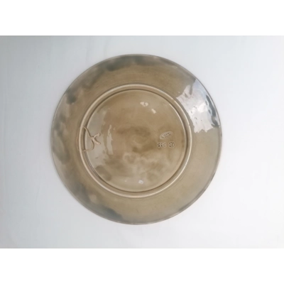 Rare Antique Majolica Plate - Gebruder Schutz of Austria