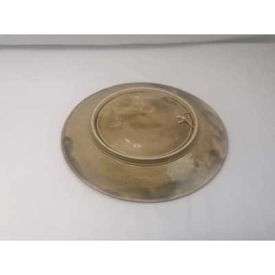 Rare Antique Majolica Plate - Gebruder Schutz of Austria