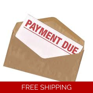 Additional Payment Additional Payment