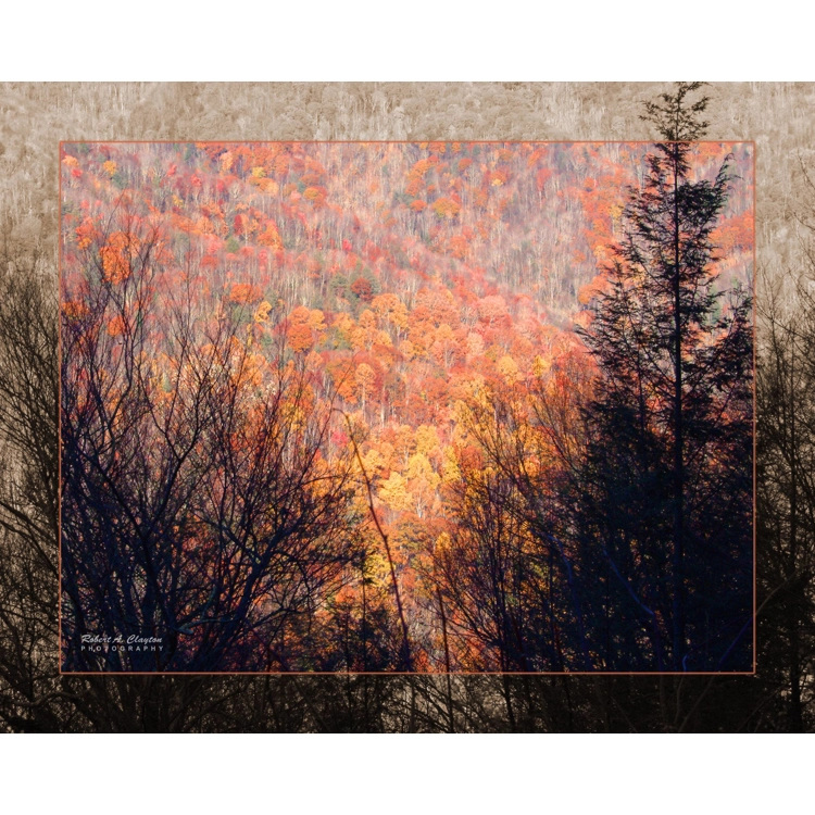 Fall Mountain Fall Mountain