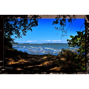 Lake Erie View