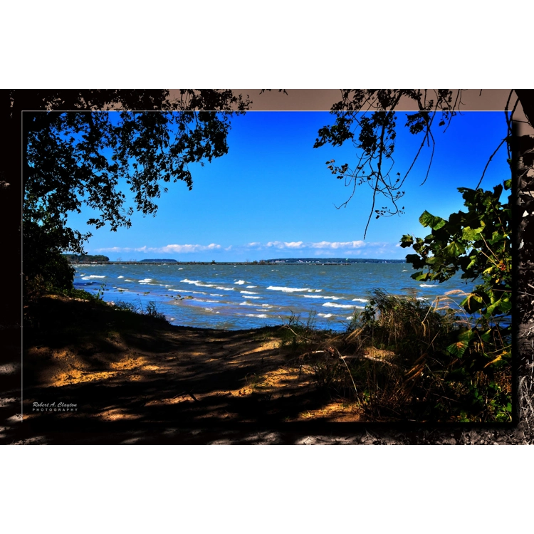 Lake Erie View