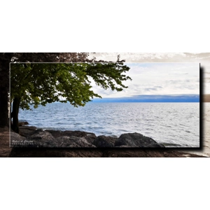 Lake Erie View