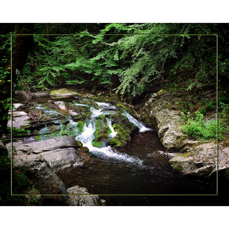 Mountain Stream Mountain Stream