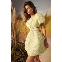Mojito Mini Dress