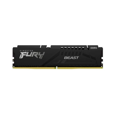 Kingston Fury Beast 16G..