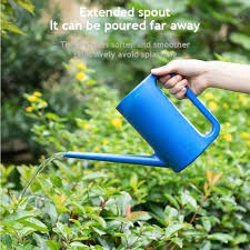 How to water Your Plants