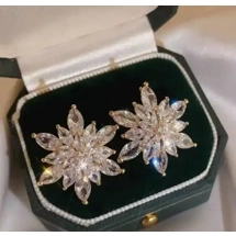 Beautiful Star Shaped D..