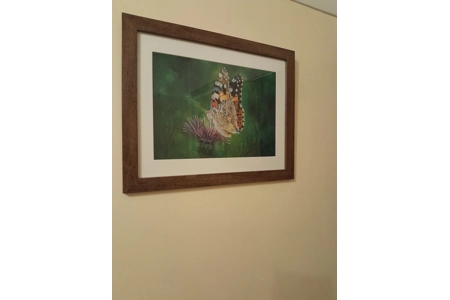 A Little Rest Framed Print