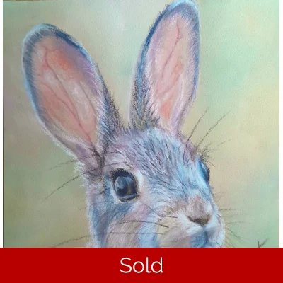 Rabbit