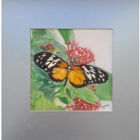 Butteryfly
