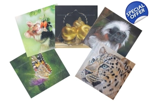 Card - Any 5 Pack