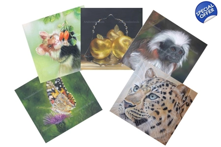 Card - Any 5 Pack Card - Any 5 Pack