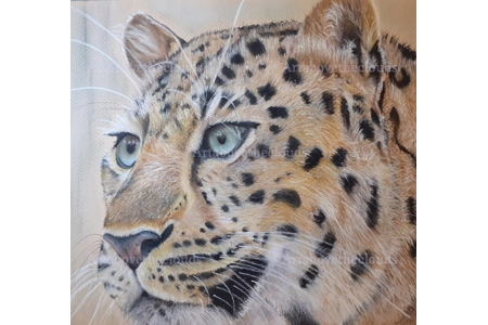 Card Amur Leopard