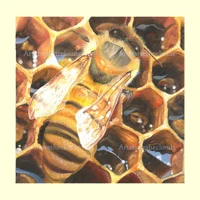 Kind Words are like Honey 1 print