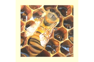 Kind Words are like Honey 1 ..