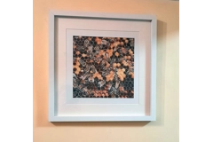 Kind Words Are Like Honey Panel 2 Framed Print