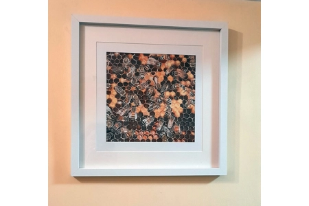 Kind Words Are Like Honey Panel 2 Framed Print