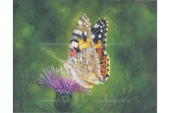 A Little Rest Framed Print