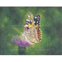 A Little Rest Framed Print