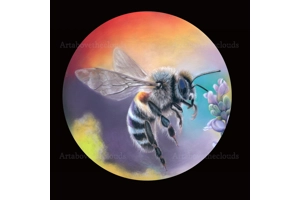 Buzz of Summer Limited .. Buzz of Summer Limited ..