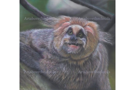 Card Little Clown Face