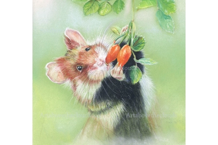 Card One Down Two to Go