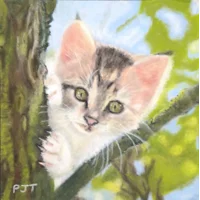 Kitten in a Tree