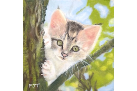 Kitten in a Tree miniature pastel painting