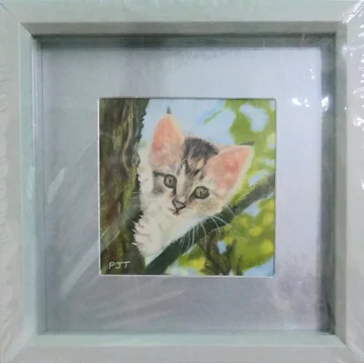 Kitten in a Tree