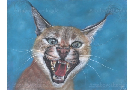 Caracal Crazy Original Pastel Painting