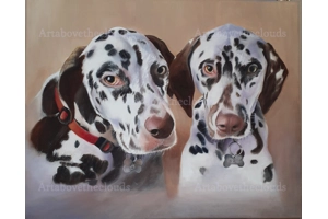 Dalmatians Pet Commission Dalmatians Pet Commission