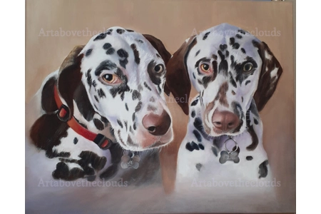 Dalmatians Pet Commission