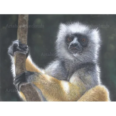 Diadem Sifaka Print