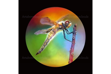 A Living Flash of Light Limited Edition Print A Living Flash of Light Limited Edition Print