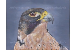 The Falcon Print