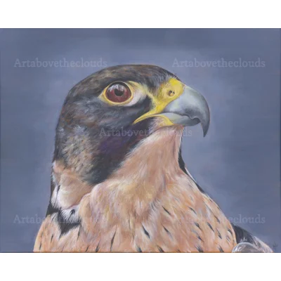 The Falcon Print