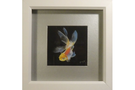 Oranda Miniature pastel painting