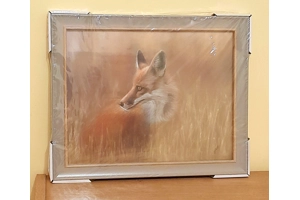 Looking Back Framed Print
