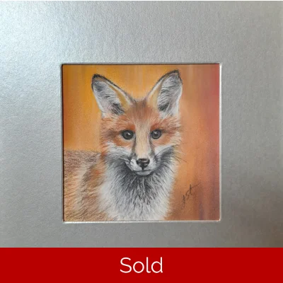 Foxy