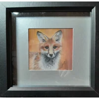 Foxy