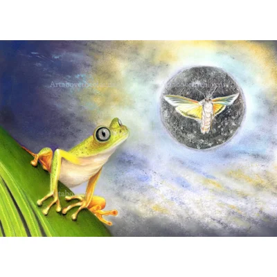By the Light of the Silvery Moon.