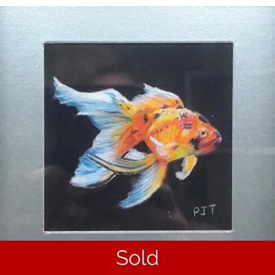 Goldfish