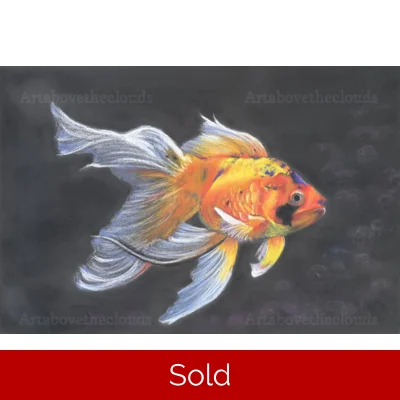 Goldfish