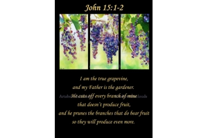 True Vine Poster