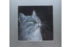Grey Cat Miniature