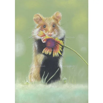 Dessert. Print